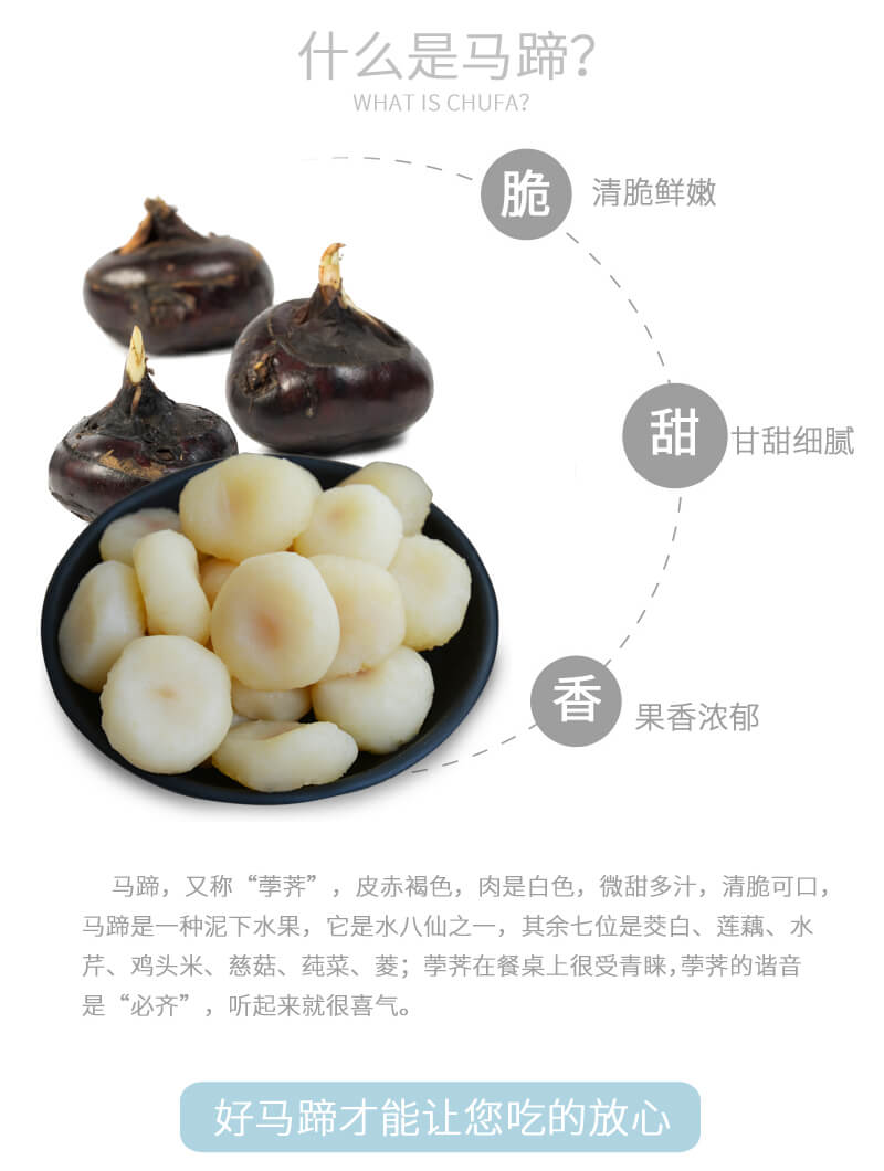 冰糖脆馬蹄