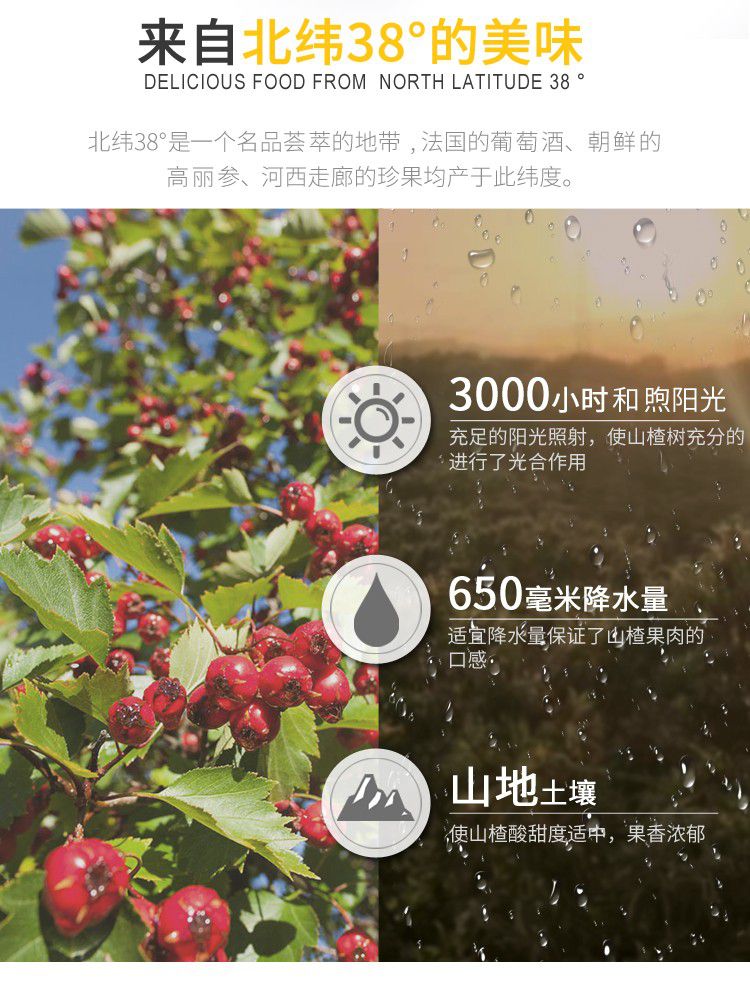 山楂罐頭